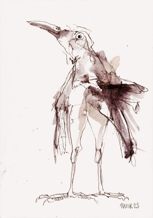 Startled Bird