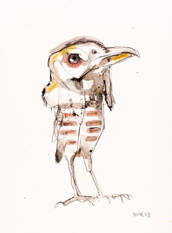 Striped Bird