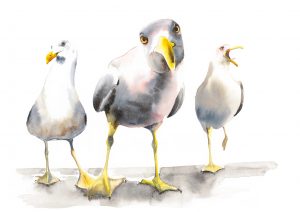 Gull Attitude