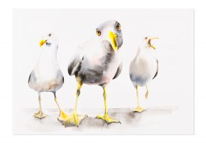 Gull Attitude Original