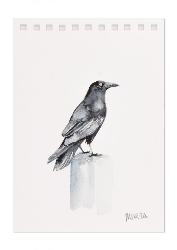 Raven 2