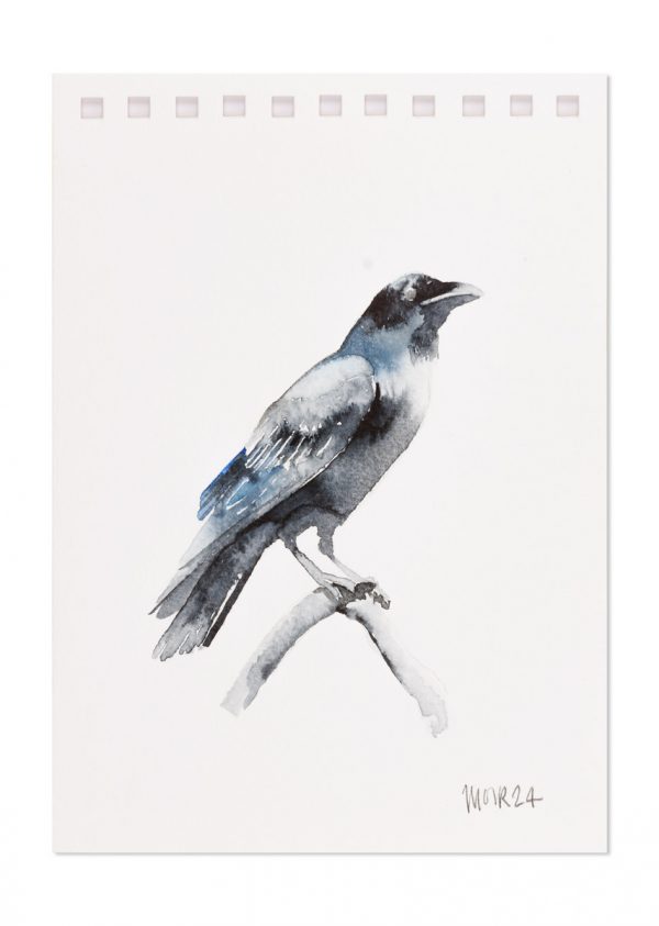 Raven 3