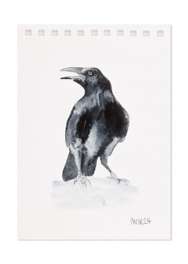 Raven 4