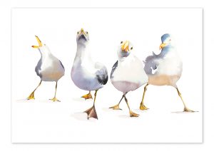 Gull Power