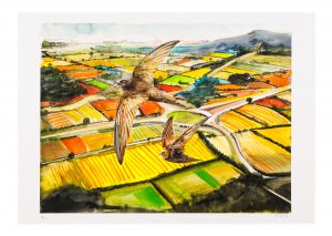 Swifts over the Motorway - Hand-finished prints
