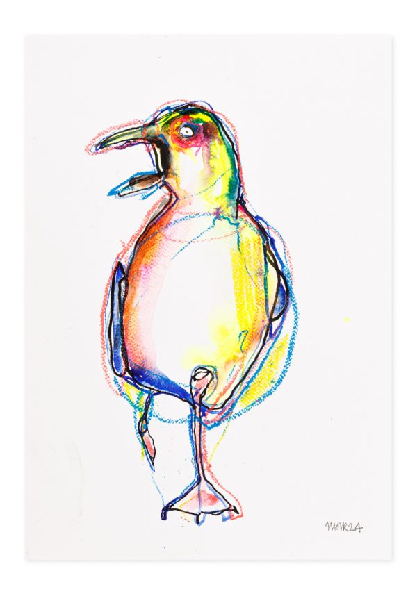 Herring Gull 2