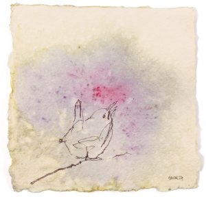 Wren ink drawing on Eco print