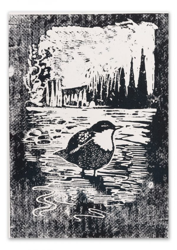 Dipper Woodcut - As featured in Painting Birds