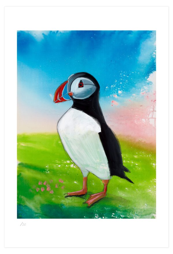 Puffin - Limited Edition Print