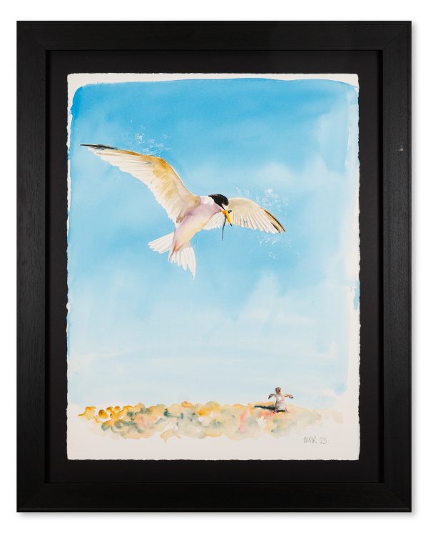 Little Tern - Painted on Painting Birds