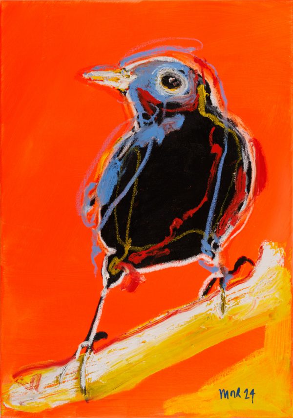 Blackbird
