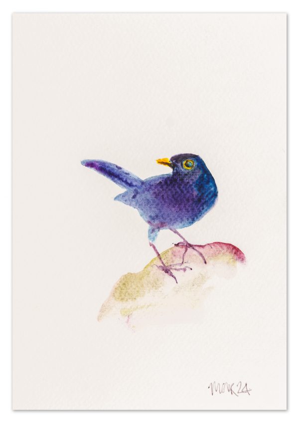 Blackbird 1