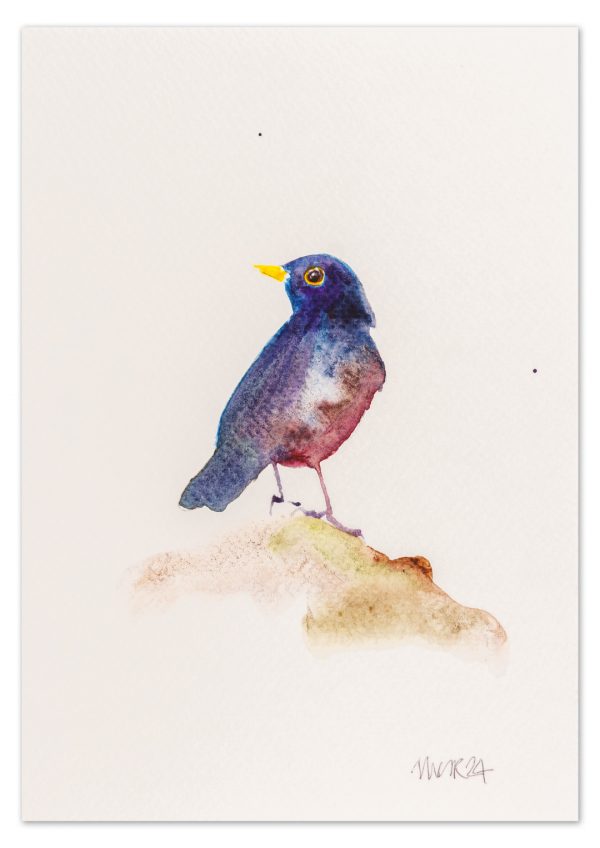 Blackbird 2