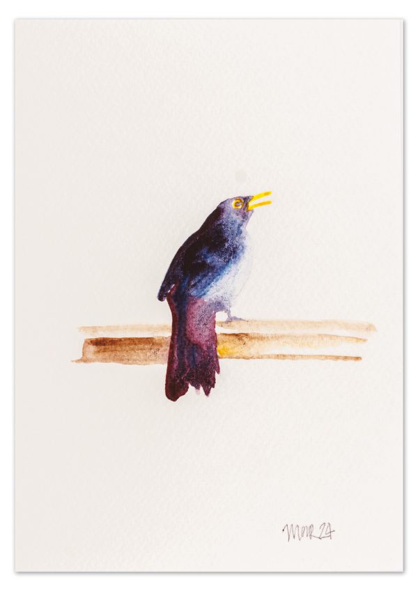 Blackbird 3