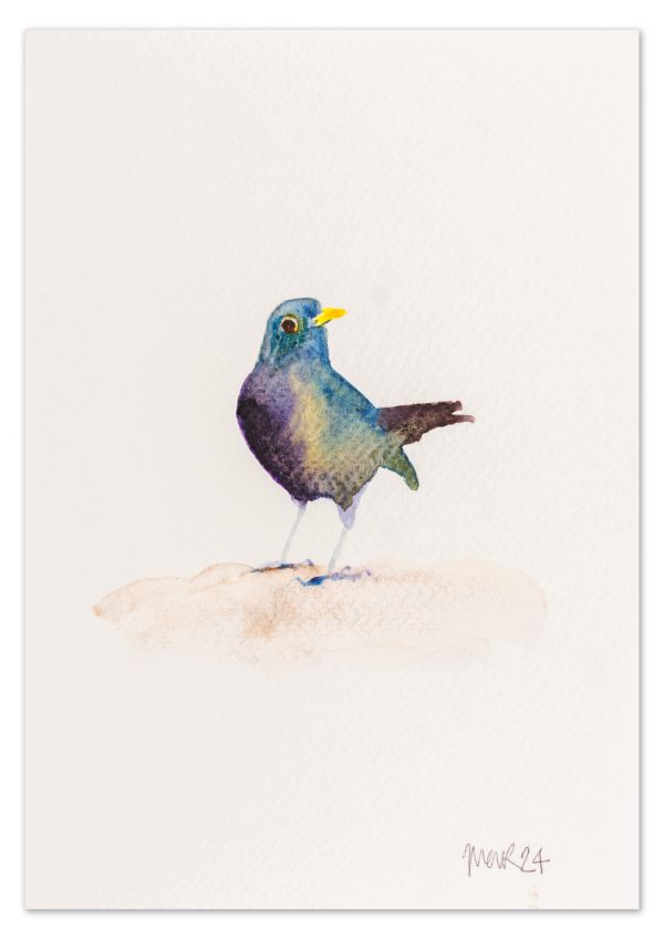 Blackbird 4