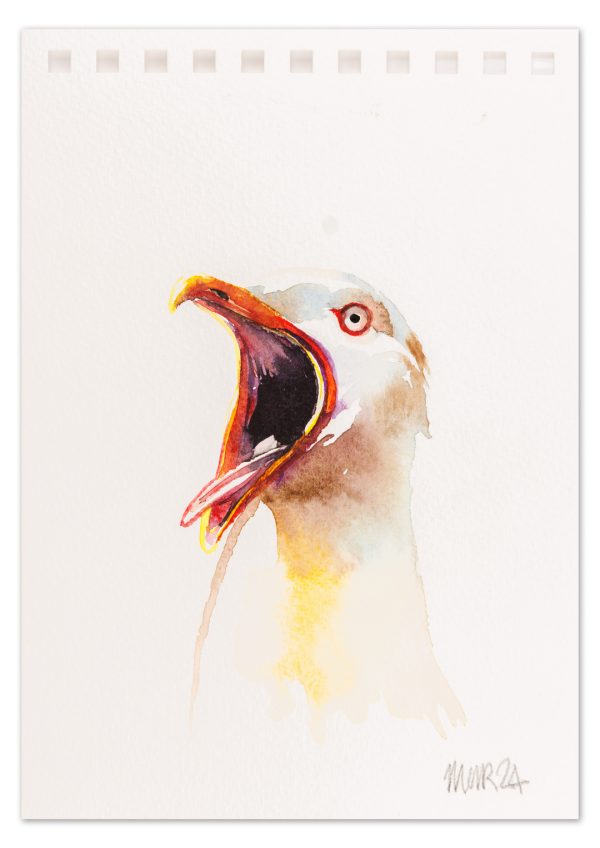 Gull 1