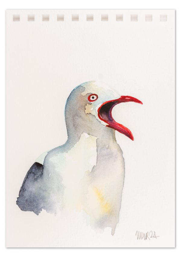 Gull 2