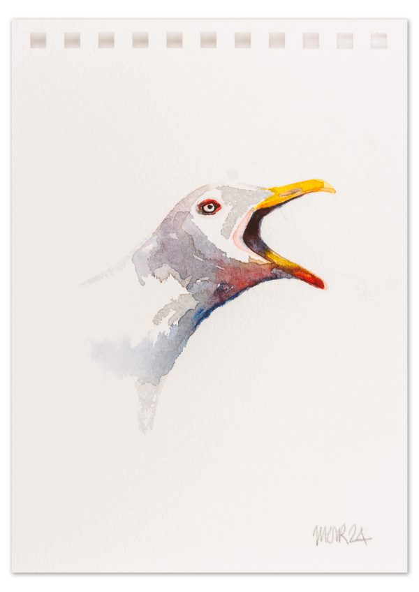 Gull 3