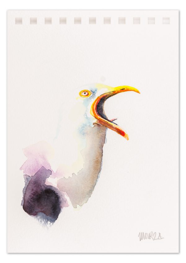 Gull 4