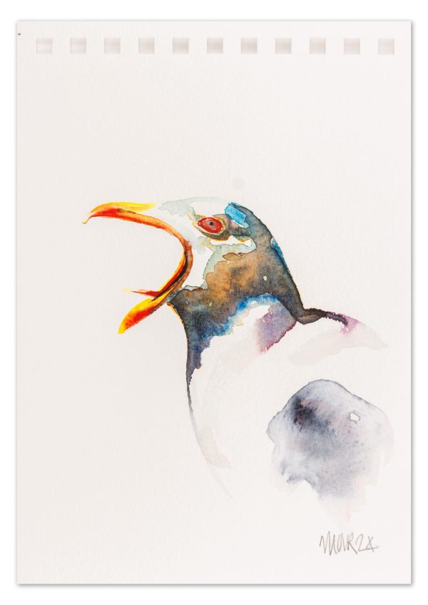 Gull 5