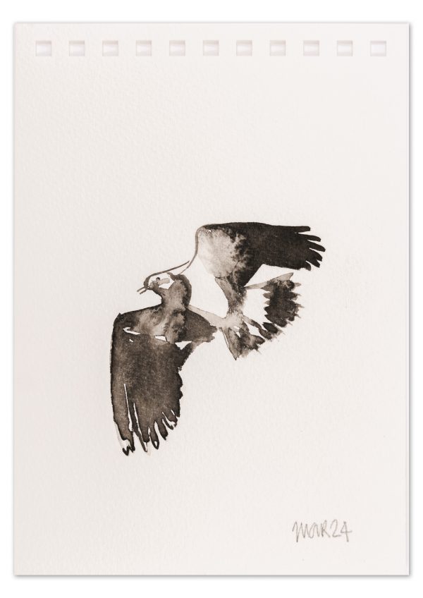 Lapwing 1