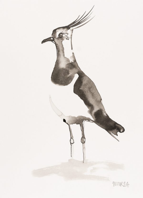 Ink Wash Lapwing 1