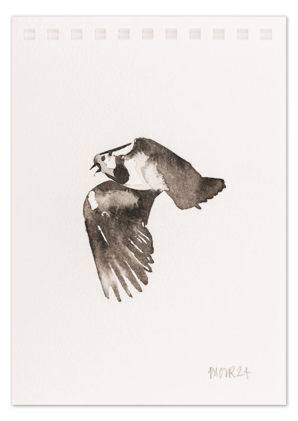 Lapwing 2