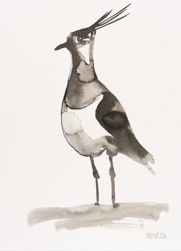 Ink Wash Lapwing 2