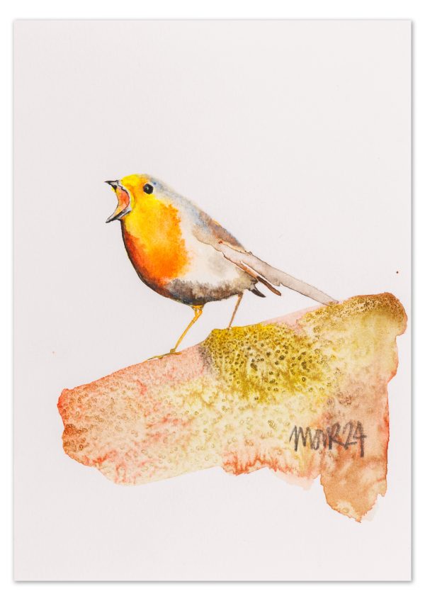 Robin 1