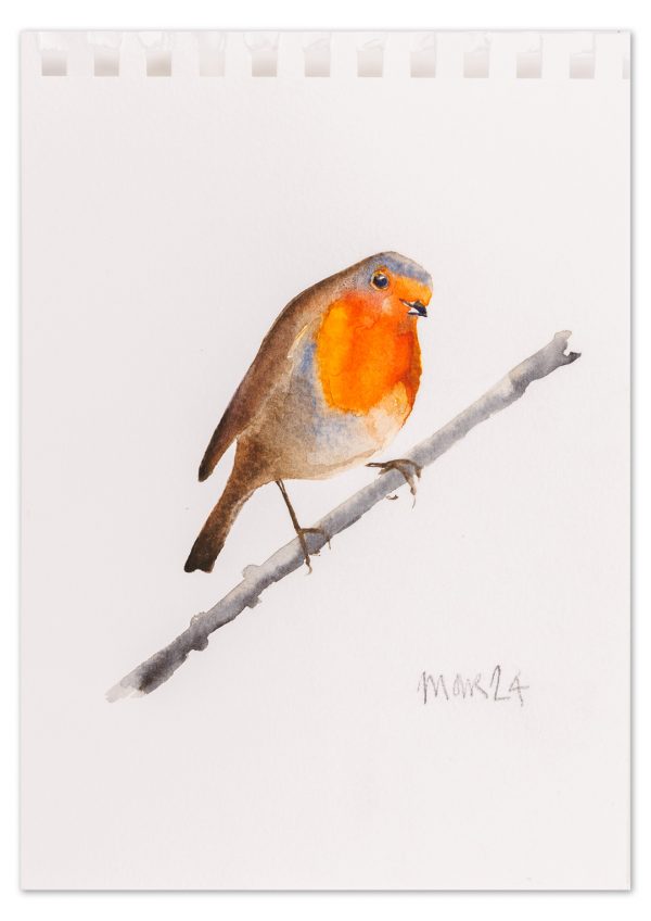 Robin 10