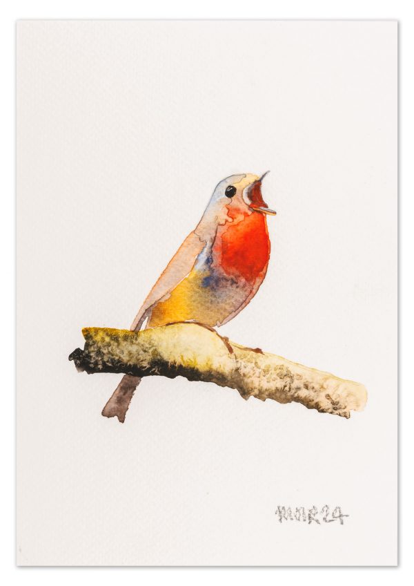 Robin 12