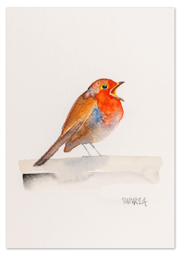 Robin 15