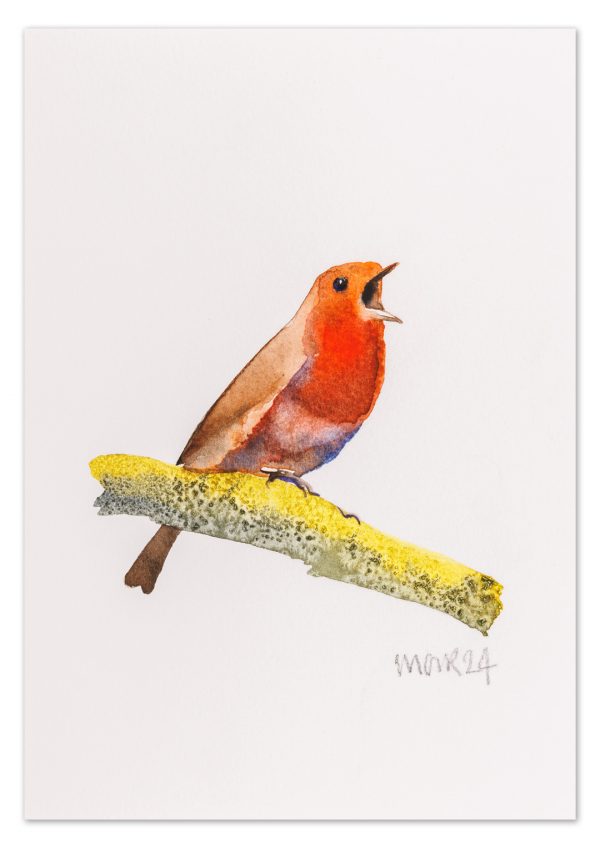 Robin 2