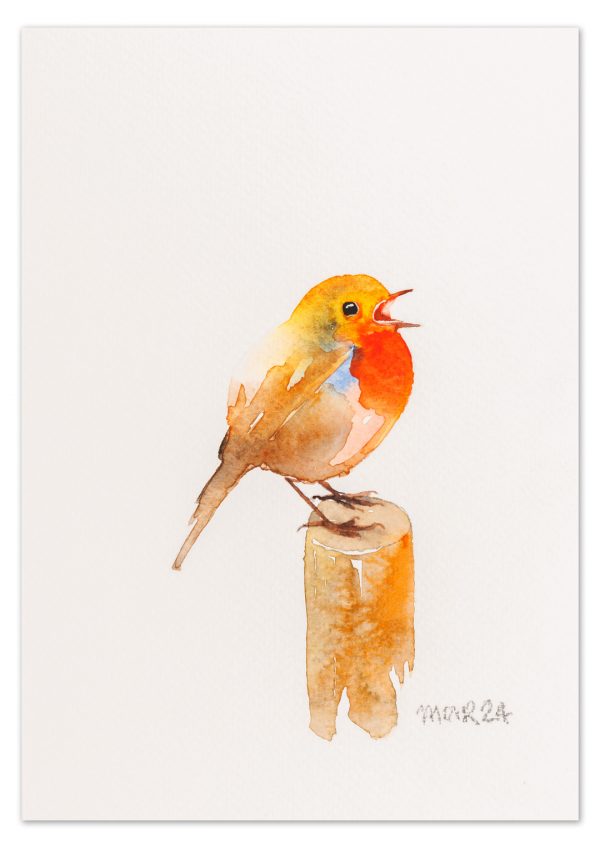 Robin 3