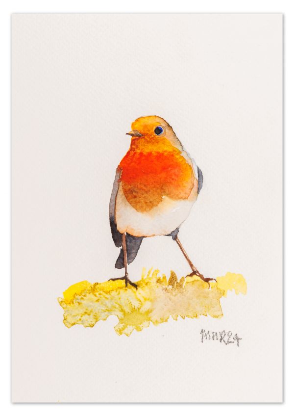 Robin 4