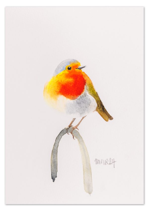 Robin 7