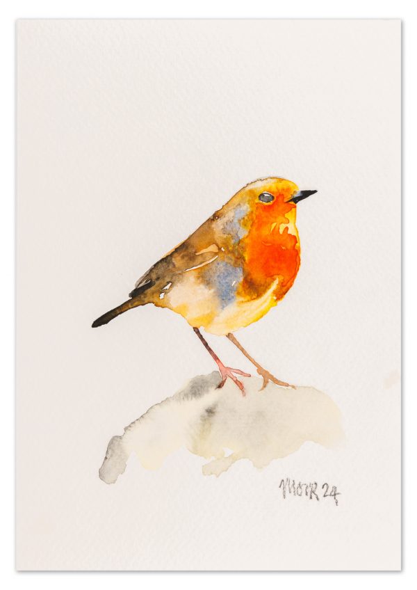 Robin 8