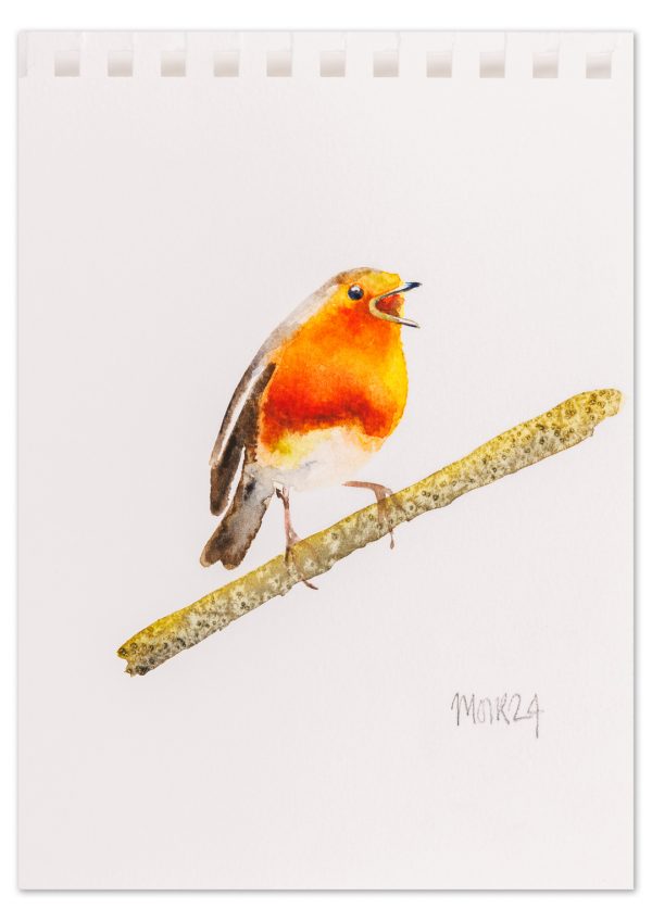 Robin 9
