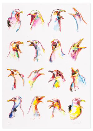 16 Gulls - No.1 Collection