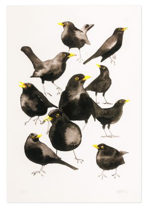 Blackbirds - No.1 Collection