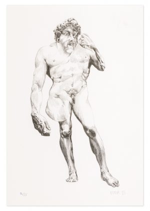 David - No.1 Collection