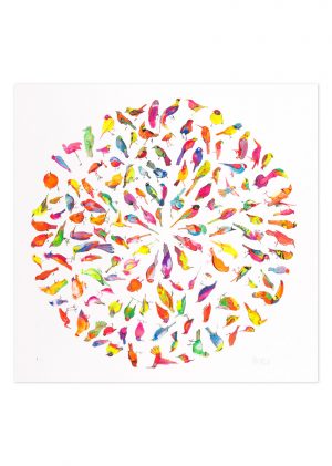 Day Glo Bird Colour Wheel - No.1 Collection
