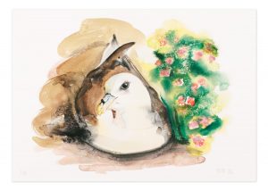 Fulmar - No.1 Collection