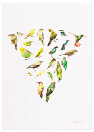 Colour Wheel Green - No.1 Collection