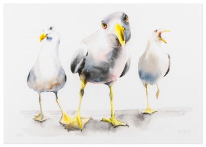 Gull Attitude - No.1 Collection