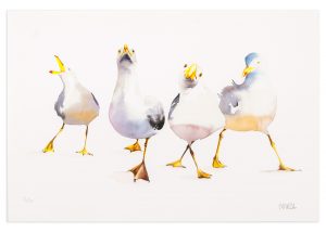 Gull Power - No.1 Collection