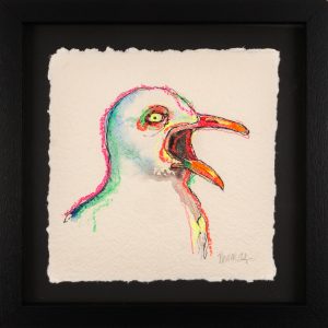 Screaming Gull 1