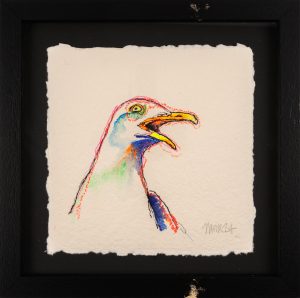 Screaming Gull 4
