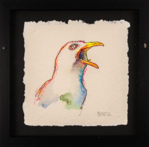 Screaming Gull 6