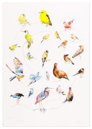 Itten Bird Colour Wheel - No.1 Collection